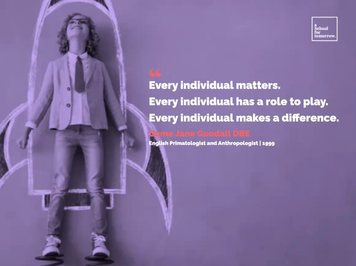 heymilly tweet media