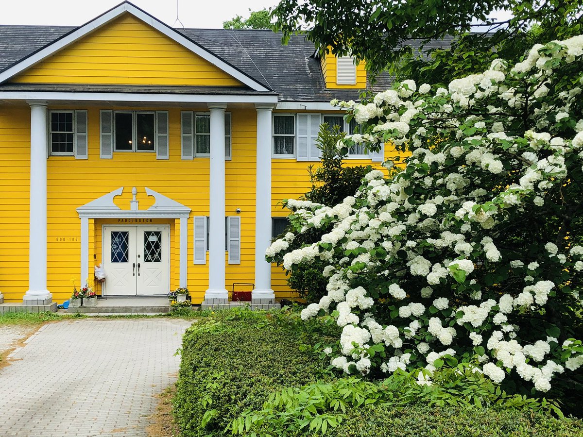 Paddington Mama Paddington Mama Twitter