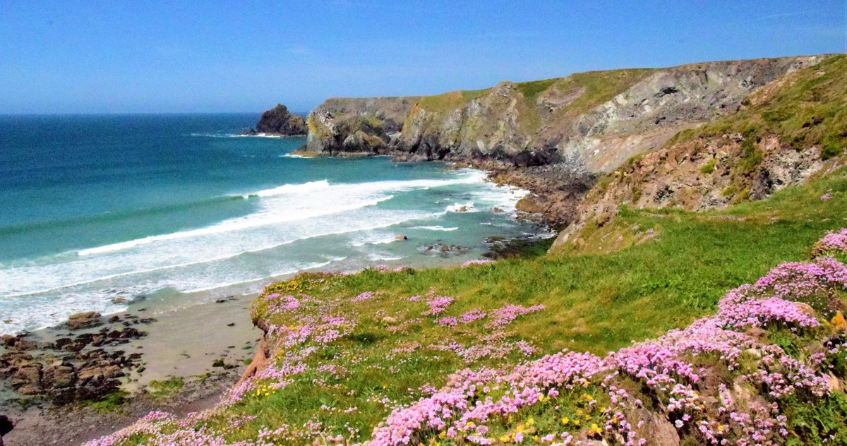 Elite Duchy Tours tweet media