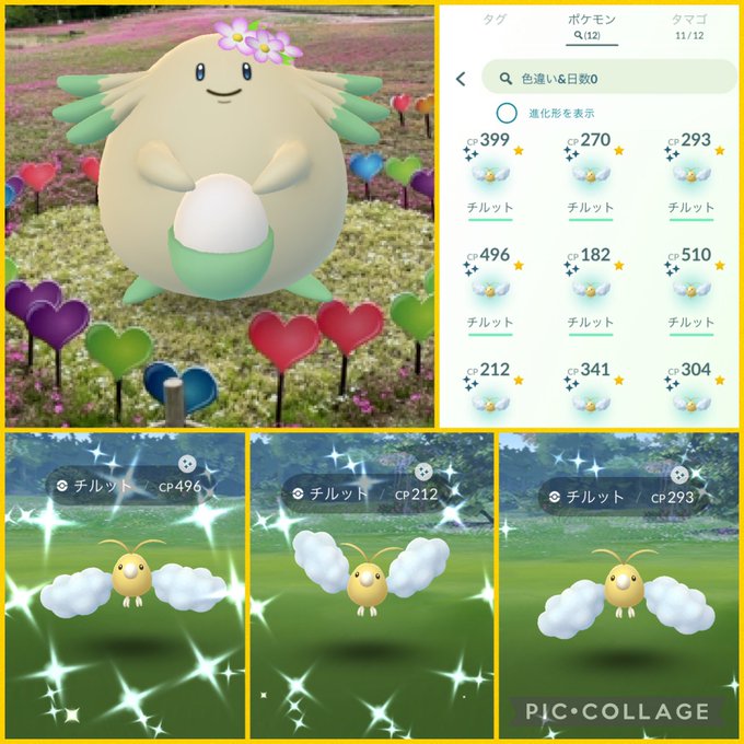 ポケモンgoで チルット が話題に ポケgo トレンディソーシャルゲームス