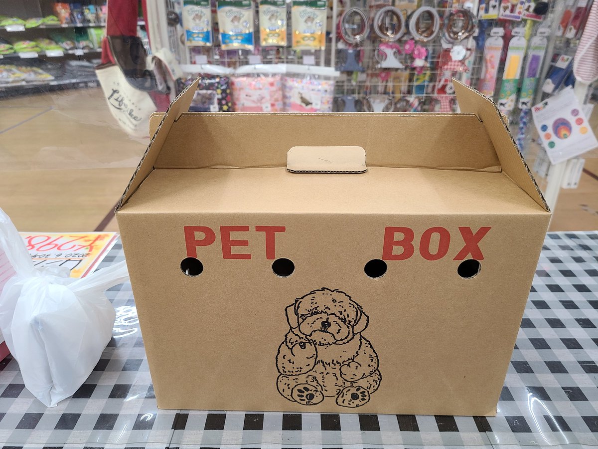 犬と暮らす生活 Twitter Search