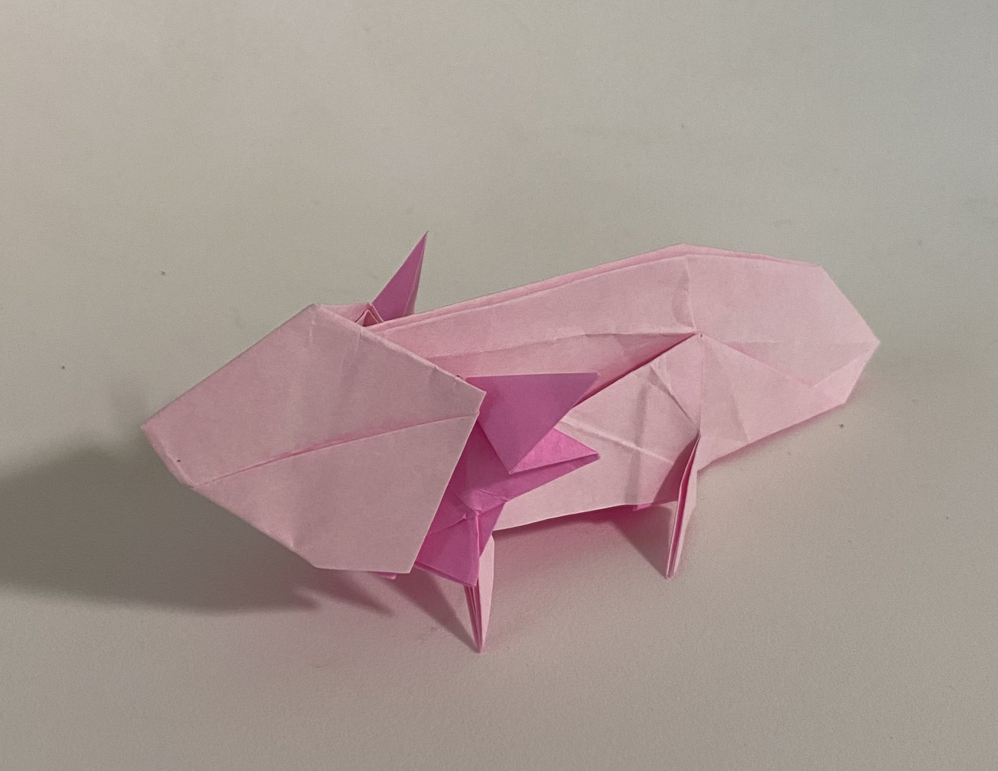 折り紙職人 在 Twitter 上 ウーパールーパー Axolotl フチモトムネジさんの 爬虫類 両生類 折り紙 より ウーパールーパーの作品っていろいろあるけど これは可愛い 折り紙作品 フチモトムネジ 爬虫類両生類折り紙 ウーパールーパー T Co