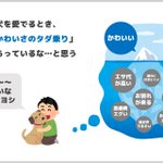 ちょっと申し訳ない？知り合いの犬をヨシヨシする時に思うこと!