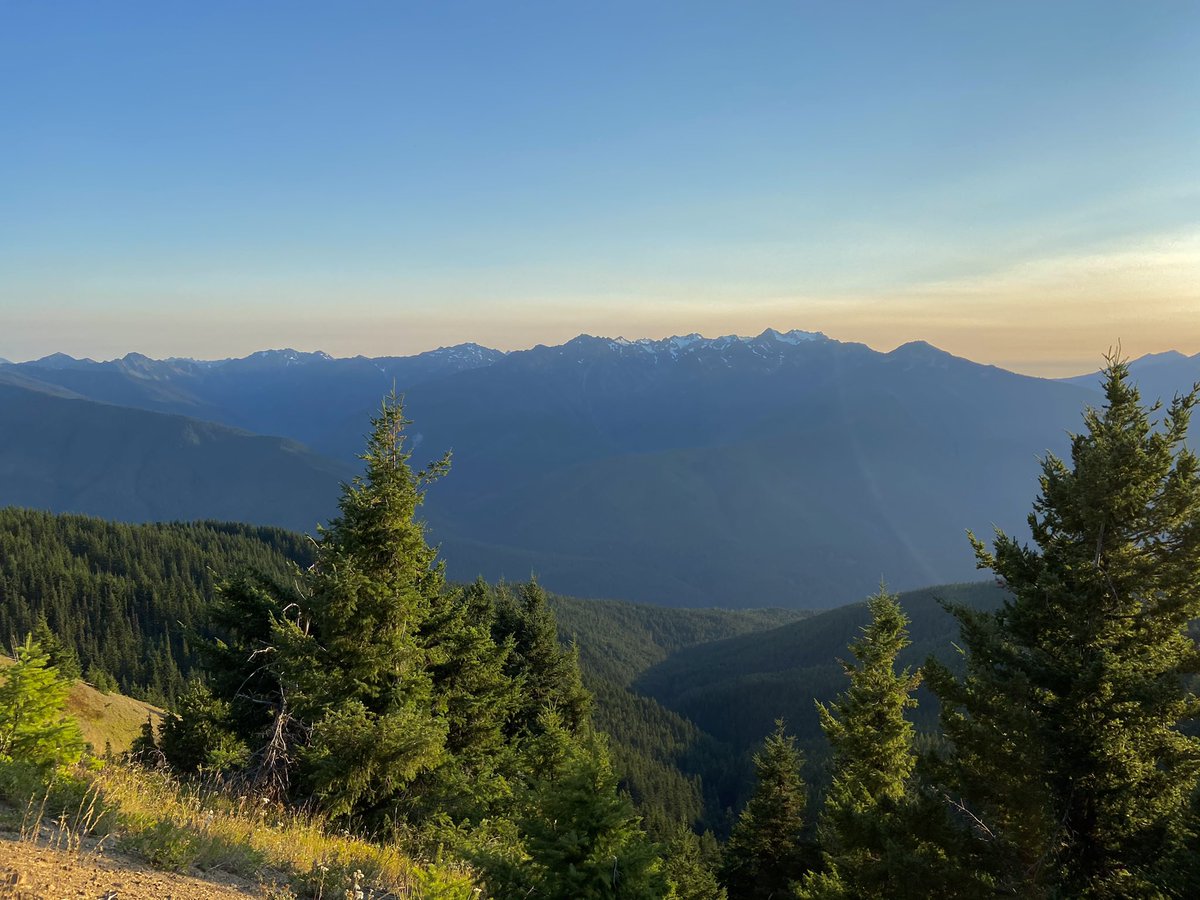 ninaulb's tweet photo. Washington is so beautiful https://t.co/MEsZTDku7m