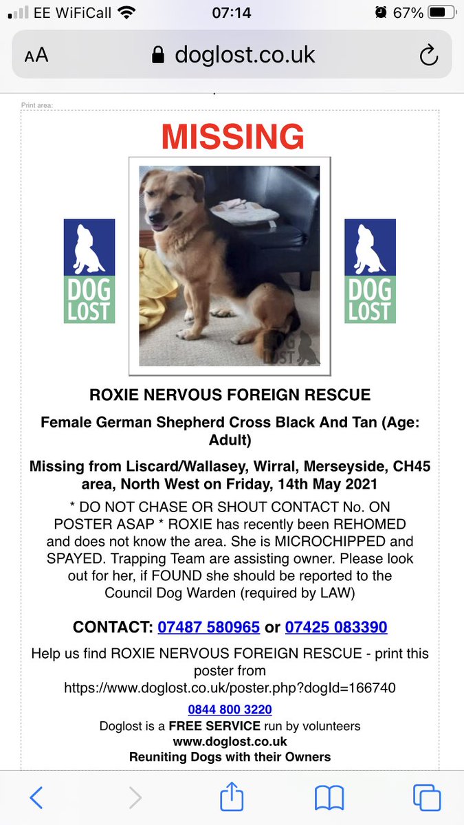 reggiemollieros's tweet photo. 😢 Bosnian rescue dog Lost: Black And Tan German Shepherd Cross Female Near @asda Liscard Wirral  (CH45) https://t.co/V6aJcxPmw0 Wallasey PLEASE DON’T CHASE THANK YOU https://t.co/0aRQnME7VA