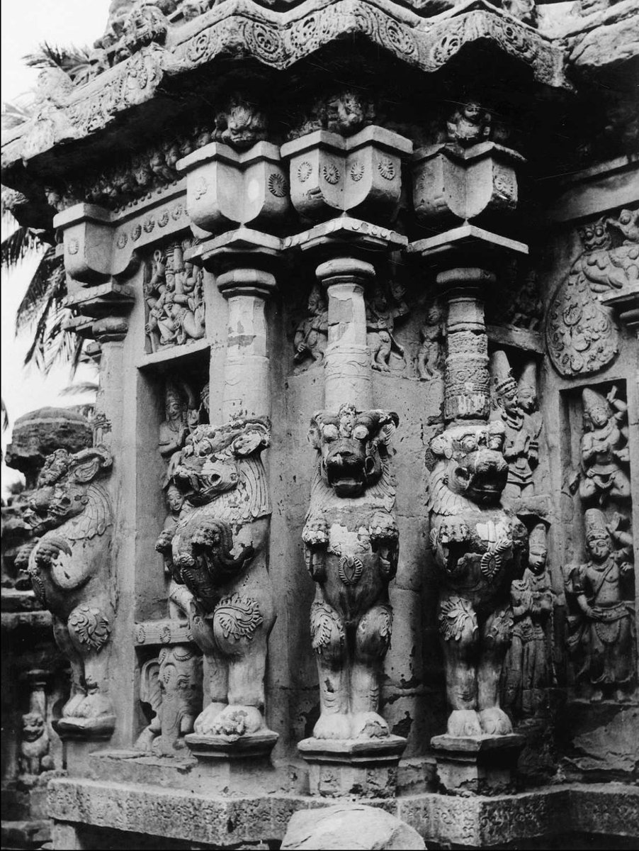 vmistweet's tweet photo. Simhavyala (lion headed composite fabulous animal) figures, Kailasanatha temple, Location:
Kanchipuram/Kanchi, Kanchipuram, Tamil Nadu, India, ca 695-722 CE, Style: Tondainadu, Patron: Rajsimha/ Rajsimhavaraman, Granite and stucco, Photo: AIIS, Center for Art and Archaeology https://t.co/1RaIMdefNt