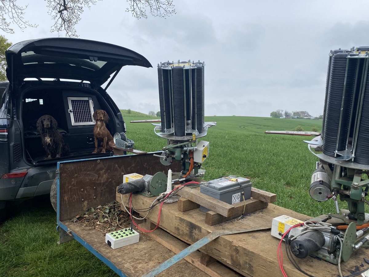peterwallace88's tweet photo. Saturdays at The Perfect Clay with my helpers #workingcockerspaniels @CCIclays #cartridges #clays @ThePerfectClay @LandRover_UK https://t.co/2UpoKo0GXd