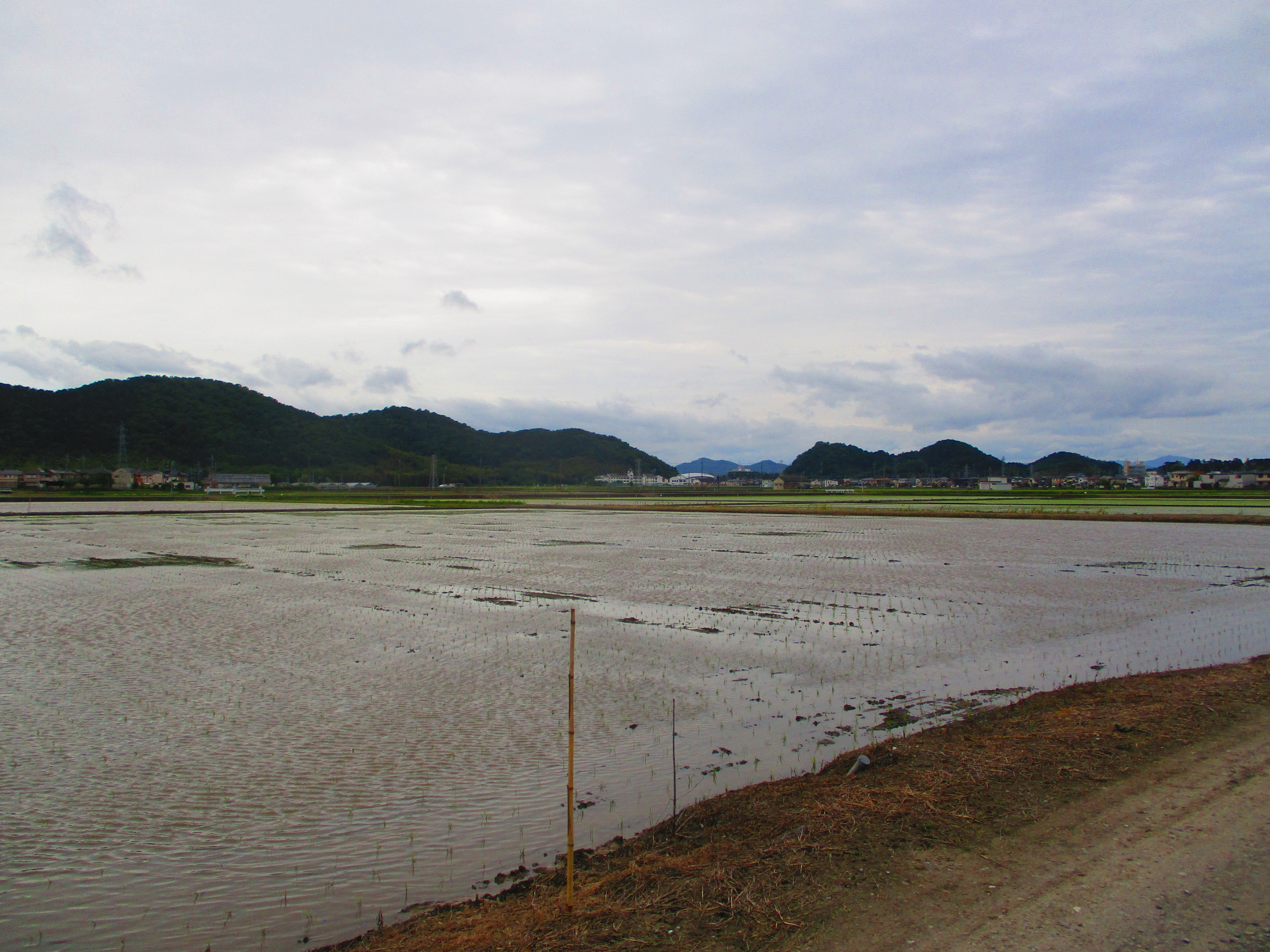 安土山 Twitter Search Twitter