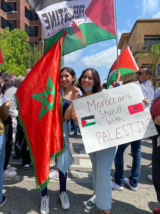 VH_Magazine's tweet photo. #photooftheday #moroccostandswithpalestine https://t.co/QA7I4QQbYI