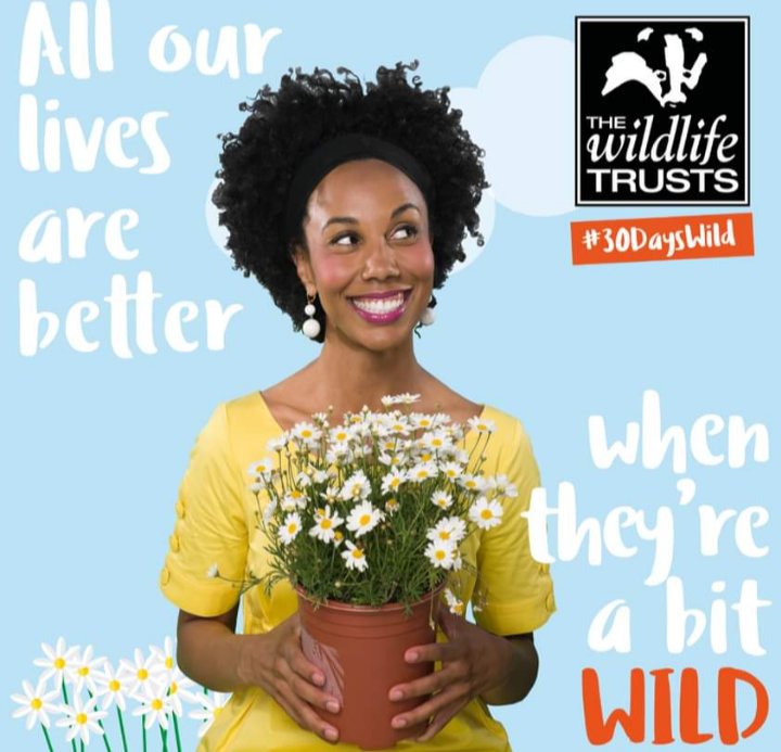 June means #30DaysWild, a project from @WildLondon encouraging people to experience nature every day in June. Sign up to receive a wall chart filled with ideas for indoor and outdoor activities. 

Lewisham is blessed with  great parks and rivers, so make June #30DaysWild