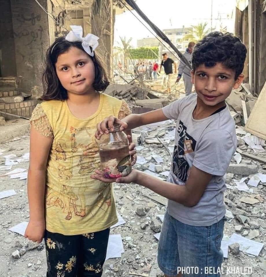 Their house was destroyed in #Gaza. But they saved their fish. “The birds.” She said. “We’ll try to rescue them too.”