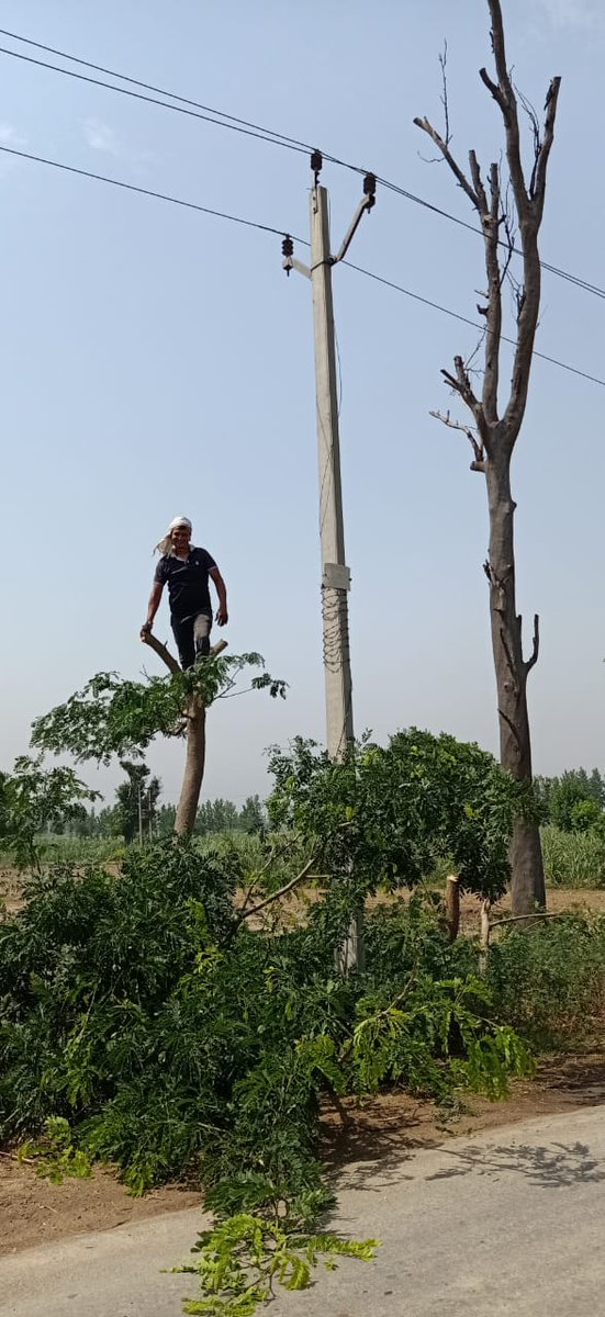 कान्धला,  शामली में अनवरत विद्युत आपूर्ति हेतु कोविड-19 में कोई परेशानी न हो कर्मचारी कार्यरत हैं ।