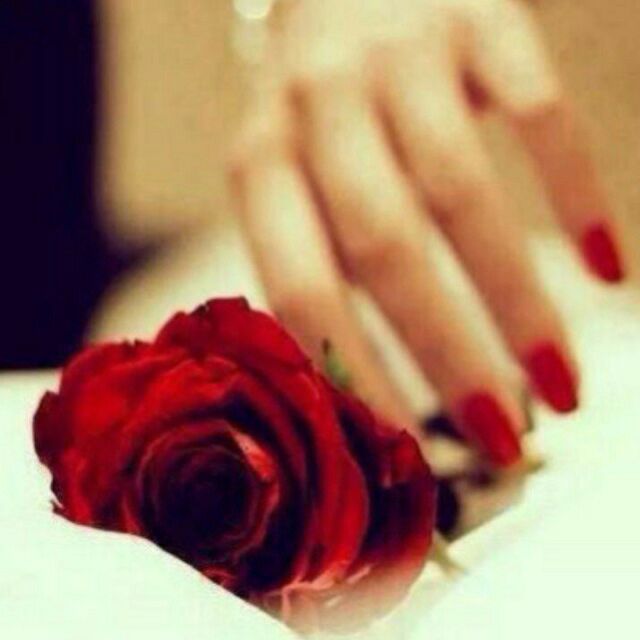Abu_murad7711's tweet photo. .

دامت السعادة رفيقة لقلوبكم
ودمتم بالقرب ممن تحبون  🌹

#صباح_الخير https://t.co/RD2jJ6dSUq