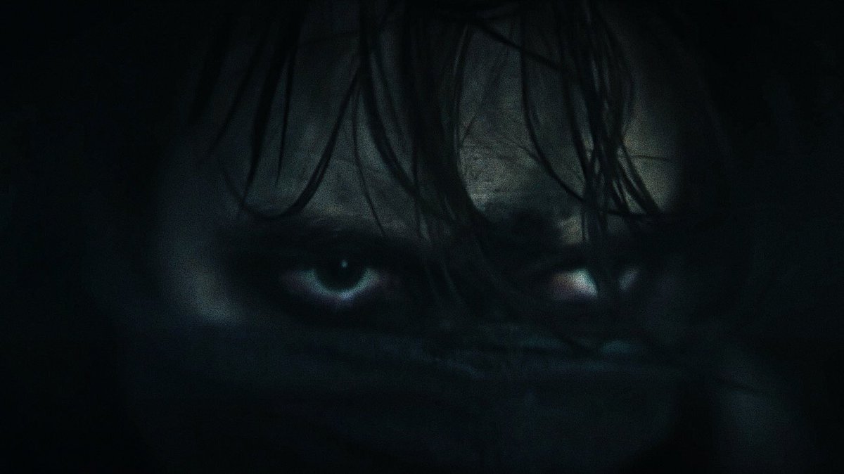 donna ❓0❓❓🐈‍⬛ tweet media