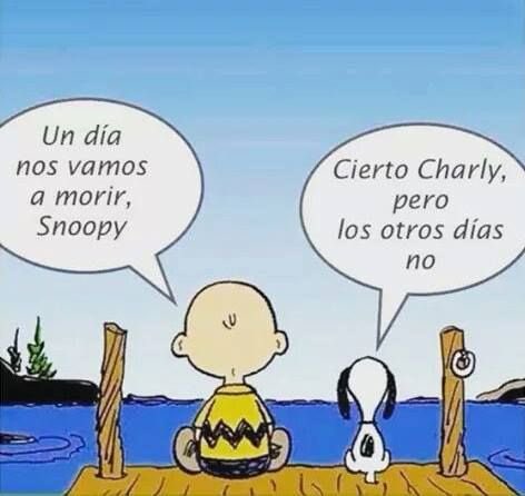 BorjaFF's tweet image. 