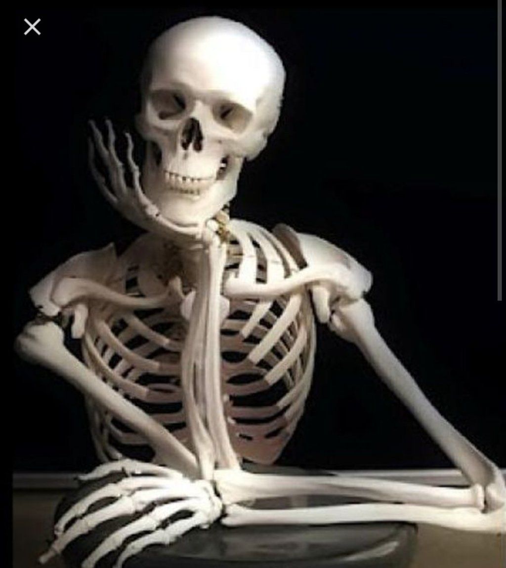 We are waiting #bsqlerleğvolunsun 
#bsqlərləğvolunsun #bsqvarsabizyoxuq