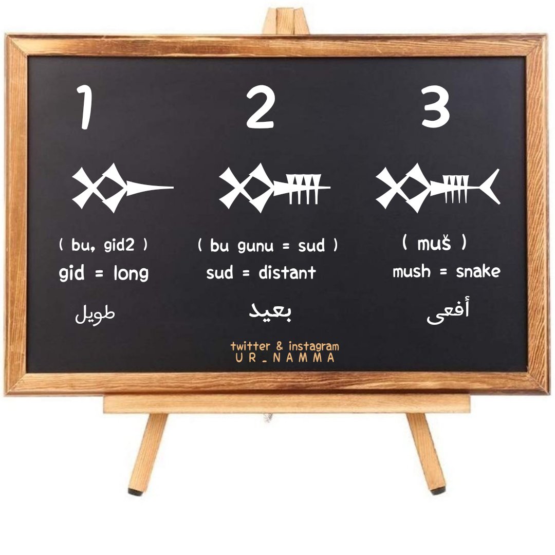 Ur_namma's tweet photo. Compare
( | 𒁍 | 𒋤 | 𒈲 | )
1️⃣ 𒁍→gid = LONG
2️⃣ 𒋤→sud = DISTANT
3️⃣ 𒈲→muš = SNAKE
#sumerian_language https://t.co/KgwRp4IP7G