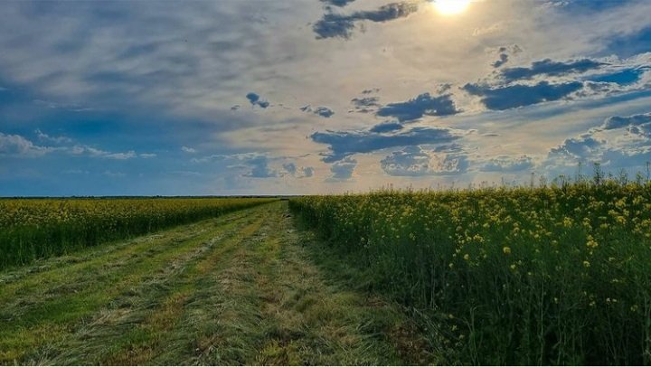 IoanIoan88's tweet photo. #NewView 🙋🌍
#weekendvibes #countrySide 
#springvibes 📱👉📱
#cludyday #romaniaphotos 🇷🇴
#weekendweek...🙌 https://t.co/O3IauNVfFq