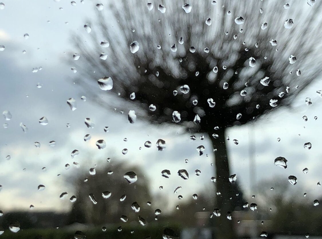 arthurdegroot_'s tweet photo. Als iedere regendruppel een hartje was, konden we vandaag pootje baden in liefde. 
•
•
#omdenken #coachen #mediation #noordbrabant #ontwikkelen #gedrag #hypnose #traumaverwerking #echtscheiding #vertrouwenspersoon #bemiddelaar #levensdossier #rouwen 

https://t.co/yGtObnjyVe https://t.co/jbSVLiXO7j