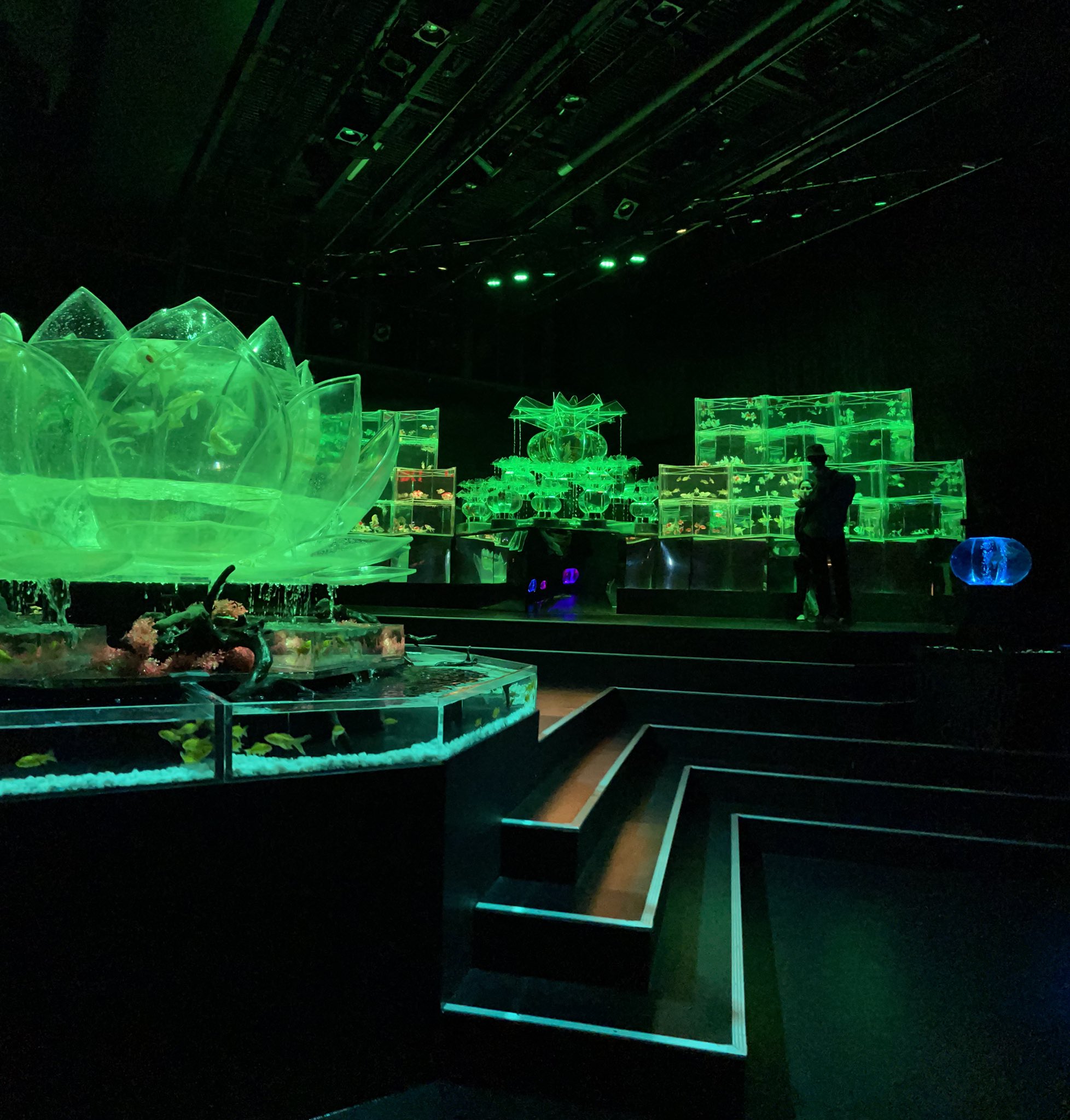 アートアクアリウム展博多実行委員会 いよいよ残り2日です まだご来場いただけてない方はお急ぎください ただいま通常通り開催中です ゆっくりご覧いただけます 万全の感染対策をしてお待ちしております アートアクアリウム アートアクアリウム博多