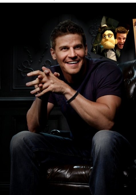 Happy Birthday to you David Boreanaz      I wish you all the best      