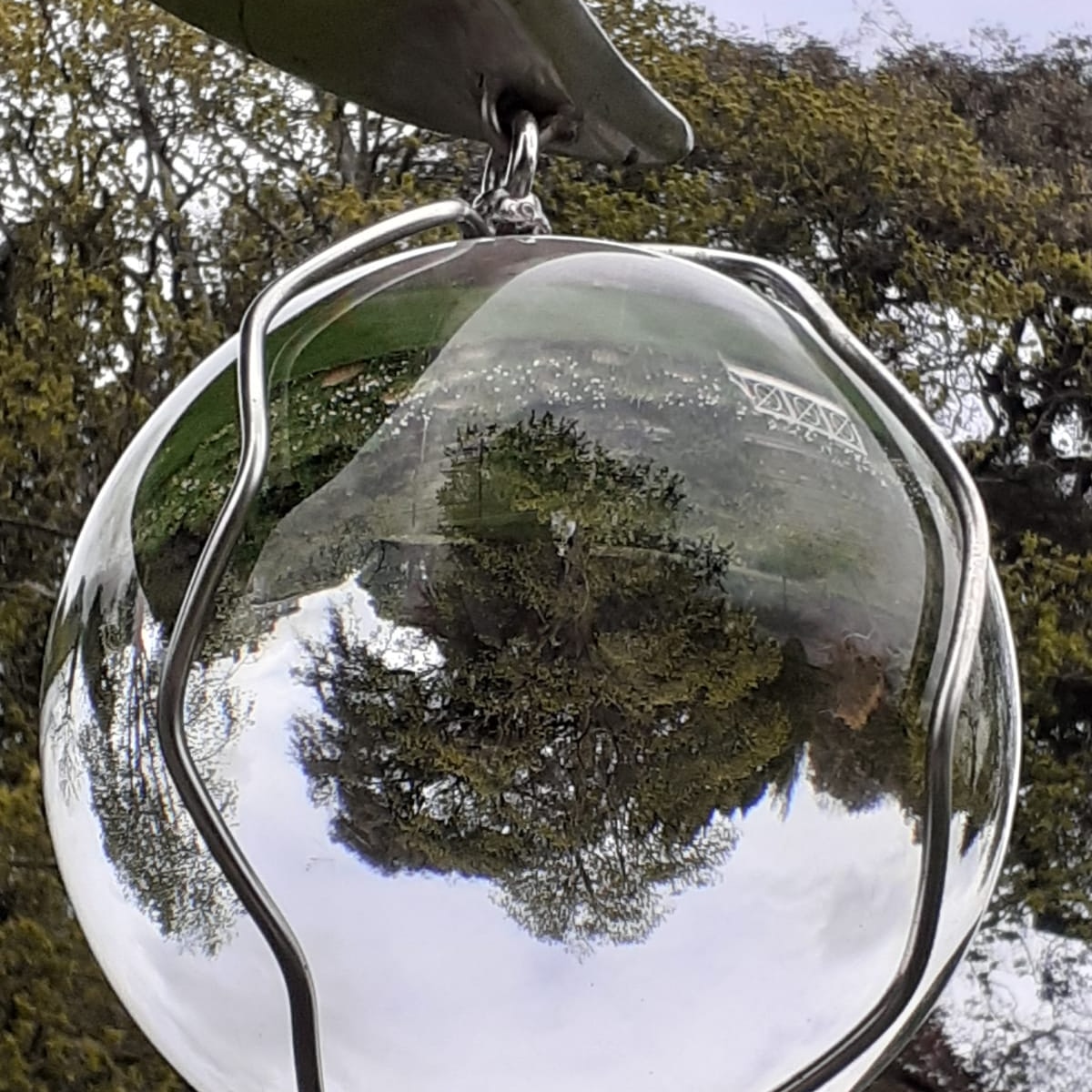BathCurious's tweet photo. Sunday Fun! Spot Mistress Moffette!#SundayFunday #bathcuriousstrolls #americanmuseumandgardens #mistressmoffette https://t.co/6B6KLMOQy1