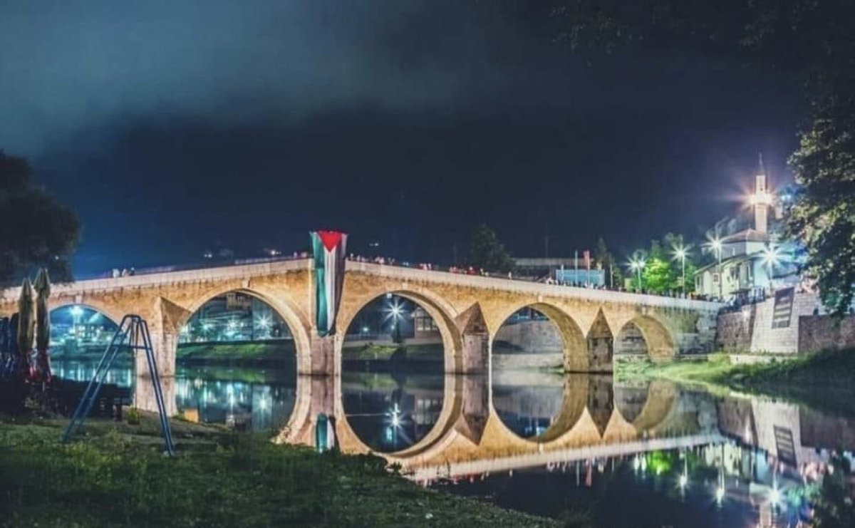 liora1x's tweet photo. Meanwhile Bosnia 🇧🇦✊🏼🇵🇸 https://t.co/dpizAgZq03