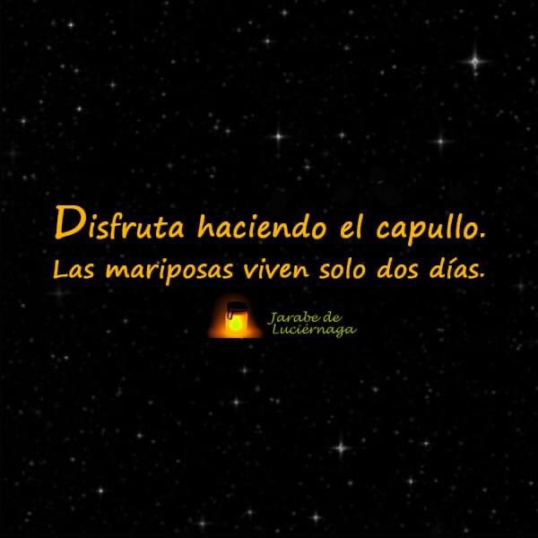 Disfruta haciendo el capullo. Las mariposas viven solo dos días.

#cambio #disfrutaelcamino #frasedeldía