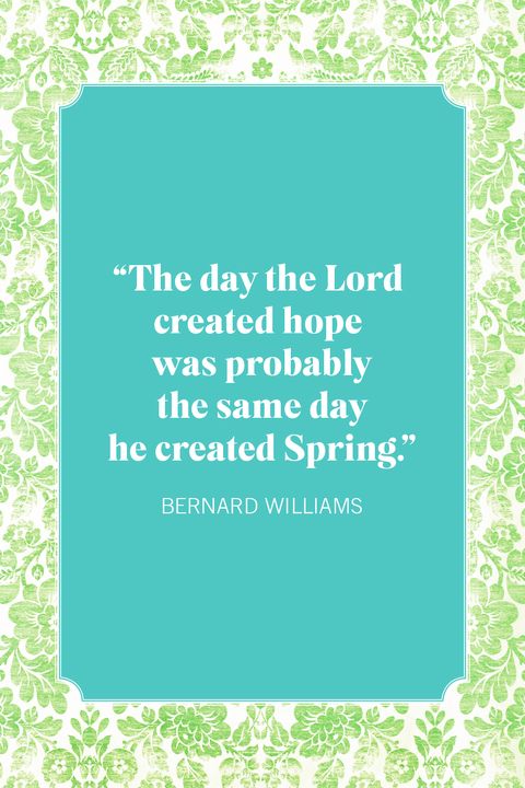 SarahthePoetess's tweet image. Good morning everyone! ☀️ I have a busy, but good productive Sunday today. Laundry, cleaning, baking. We'll try to catch up with you all later 😊

Hope you have a wonderful day! 😊💜

#quotesdaily #springquotes #springvibes #Hope #sundayvibes #SundayThoughts #HappySunday