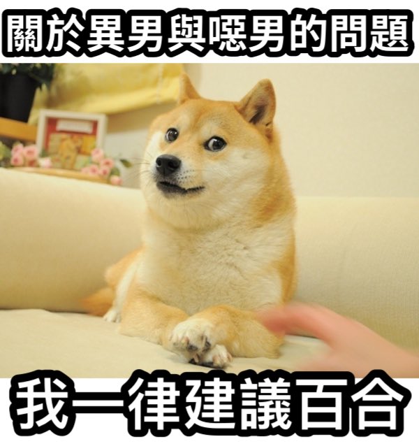 燁羽鷹嵐 tweet media