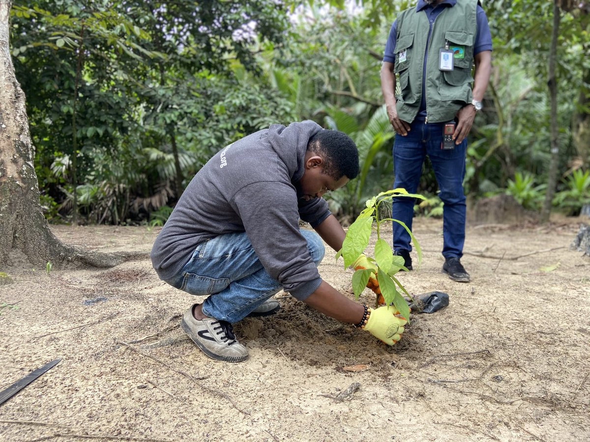 Why we love 💚 TREE! 

🌱Trees Give Us Clean Air to Breathe.
🪴Trees Provide Us with Food.
🌱Trees Increase the Quality of Our Life.
🪴Trees Prevent Erosion.

Share with us why you love 💚TREE #LoveTree #TreeLove
