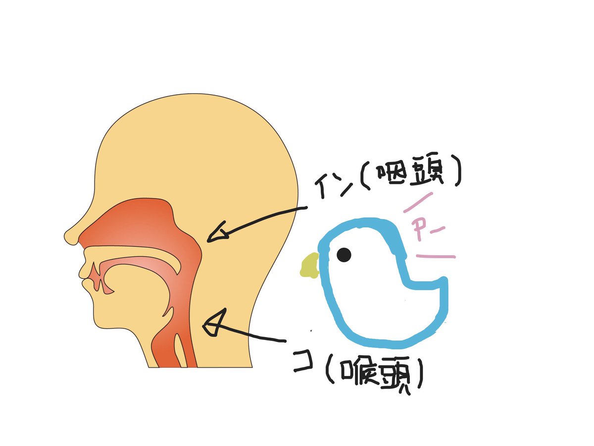 覚え方 Twitter Search