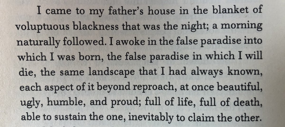 How have I not read Jamaica Kincaid before??? Every page is like this! From The Autobiography of My Mother...
