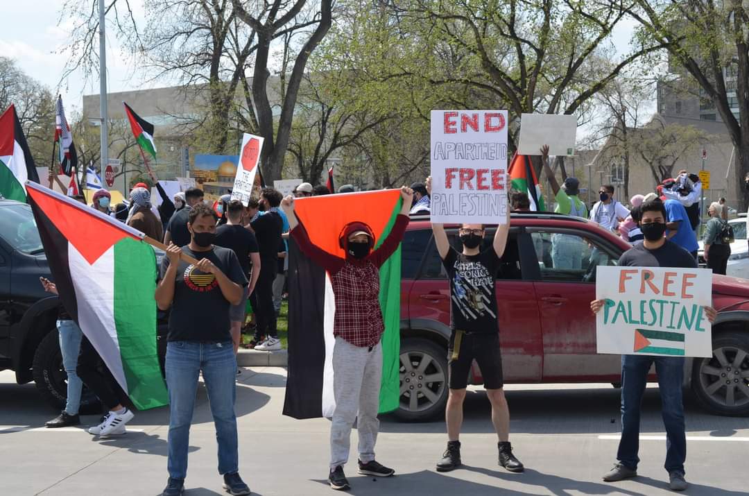 Winnipeg was out in full force for #Palestine yesterday! Free Palestine! End the Israeli occupation! #nakba73 #SaveSheikhJarrah