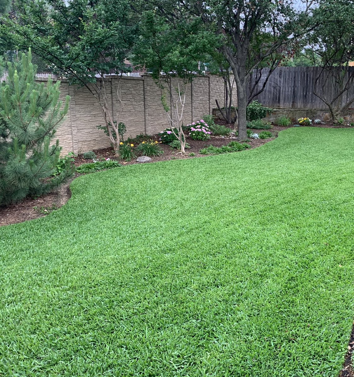 Grass mowed and edged ✅ flowers in bloom ✅ sprinkler off (lots of rain on the way)✅ sit back and enjoy ✅✅