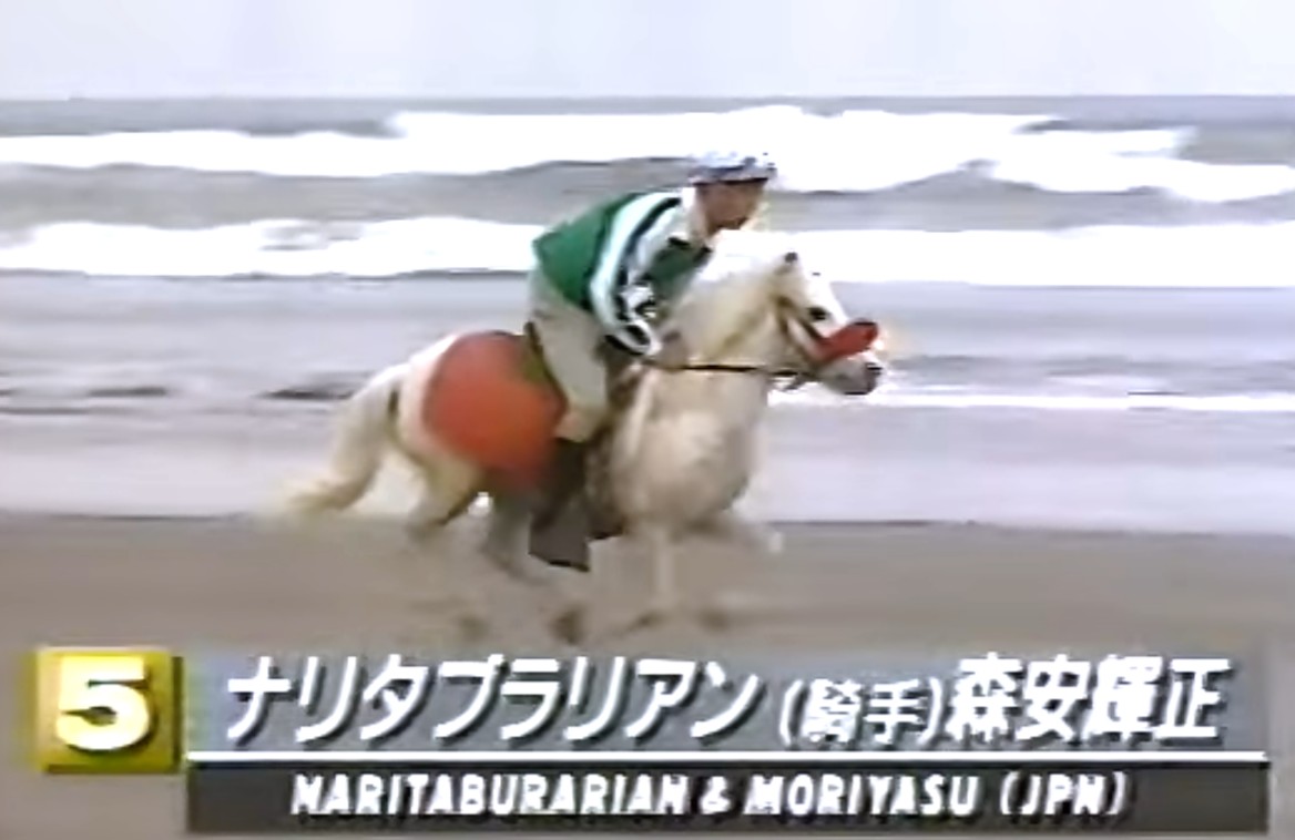 ナリタブライアン たてがみ ウマ娘】ナリタブライアンの評価と固有性能 - 神ゲー攻略