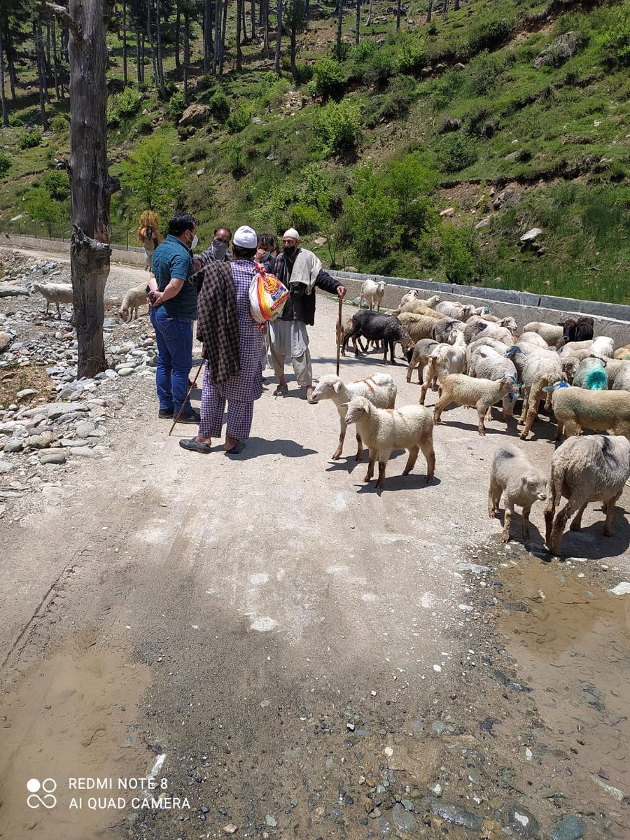 Dsho_bandipora's tweet photo. District Sheep Husbandry Officer Bandipora monitoring livestock Migration to HLP's at Authwatho Bandipora

#wecare
#livestockMigration
#FAC
#24x7service

@dcbandipora @owais_ias @JkvdaOfficial @Showkat11153742 @Mirdanish111 @Umaryusufwani @Dr_Mir_Owais @ImraanKhawaja https://t.co/2IK57mbWG3