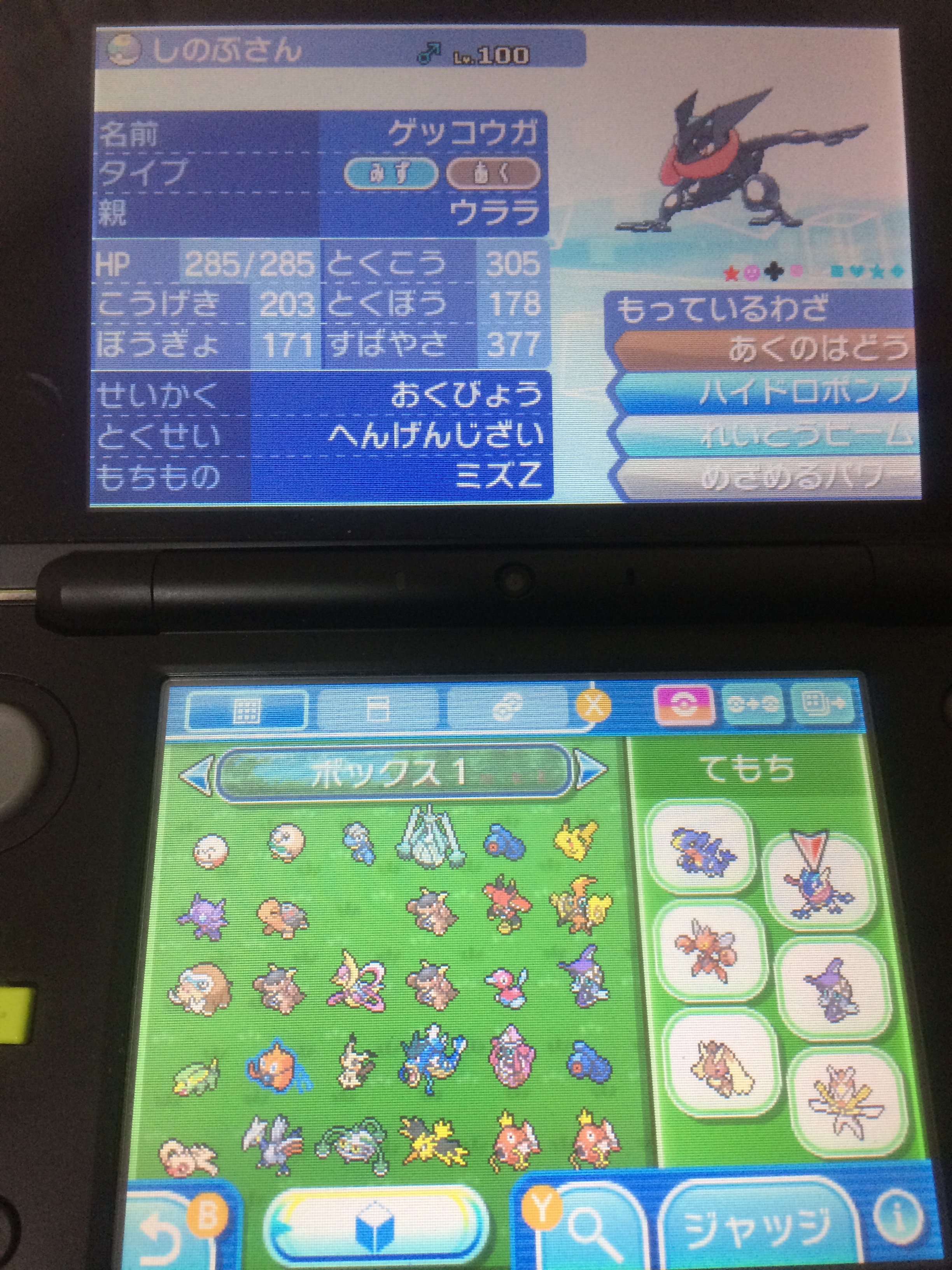 Lenneth はじめてレベル100まで育てたポケモン 色ゲッコウガ Umにのめりこんでた頃 対戦でカミツルギ ゲッコウガ ミミロップに見事やられて 格闘一貫してるのに そのあまりに美しい戦法にあっぱれとしか言えずあこがれて育てた 色違いは能力偏りあっ