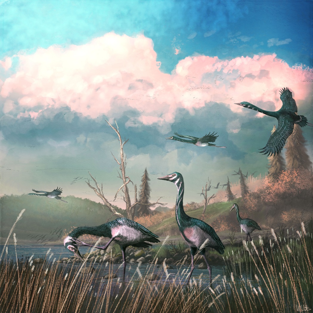 Mark Witton on Twitter "I have no idea when DinosaurDay was so I