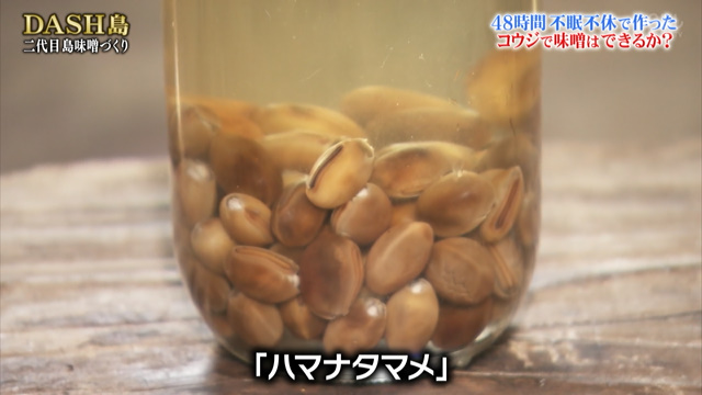 Dash島の貴重な藻塩を使い切ってsnsでプチ炎上した後輩ジャニーズ2人が味噌づくり 城島リーダーは豆腐を作るが 鉄腕dash Togetter Dash島の貴重な藻塩を使い切ってsnsでプチ炎上した後輩ジャニーズ2人が味噌づくり 城島リーダーは豆腐を作るが 鉄腕dash Togetter