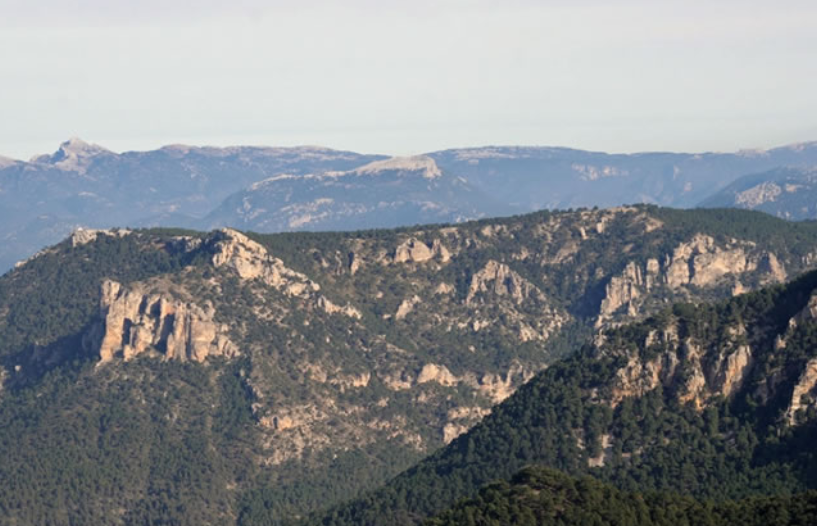 QuebrantaPNCazo's tweet photo. Con 1.620m de altitud, la subida al pico de Navalperal es una de las propuestas para atractivas del parque para los senderista. Una vez en la cima disfrutarás de espectaculares vistas.
👉https://t.co/4T1vQ7scyB
#gransendero #gr247 #BosquesdelSur #JaenDestinoAventura @dipujaen https://t.co/H2zxozcOC4