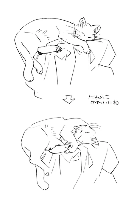 にゃんこを見て描いた 