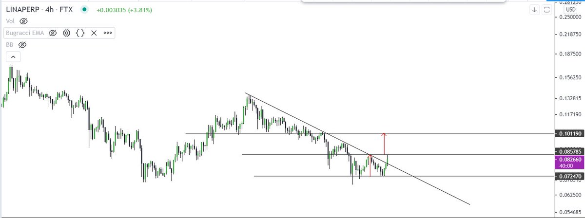 siesta_laila tweet media