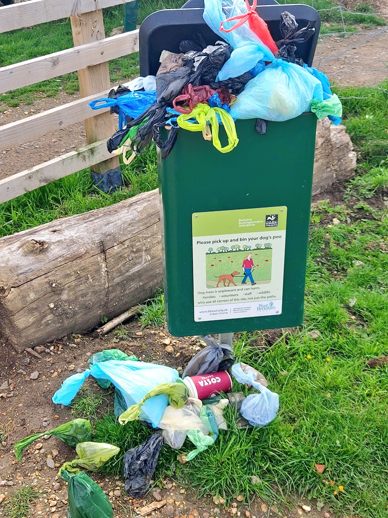 NG_Nagmeldin's tweet image. @WestBerkshire @WildlifeTrusts #AttentionNeeded Witnessed this today in #GreenhamCommon air base, the #CrookhamHill entrance.