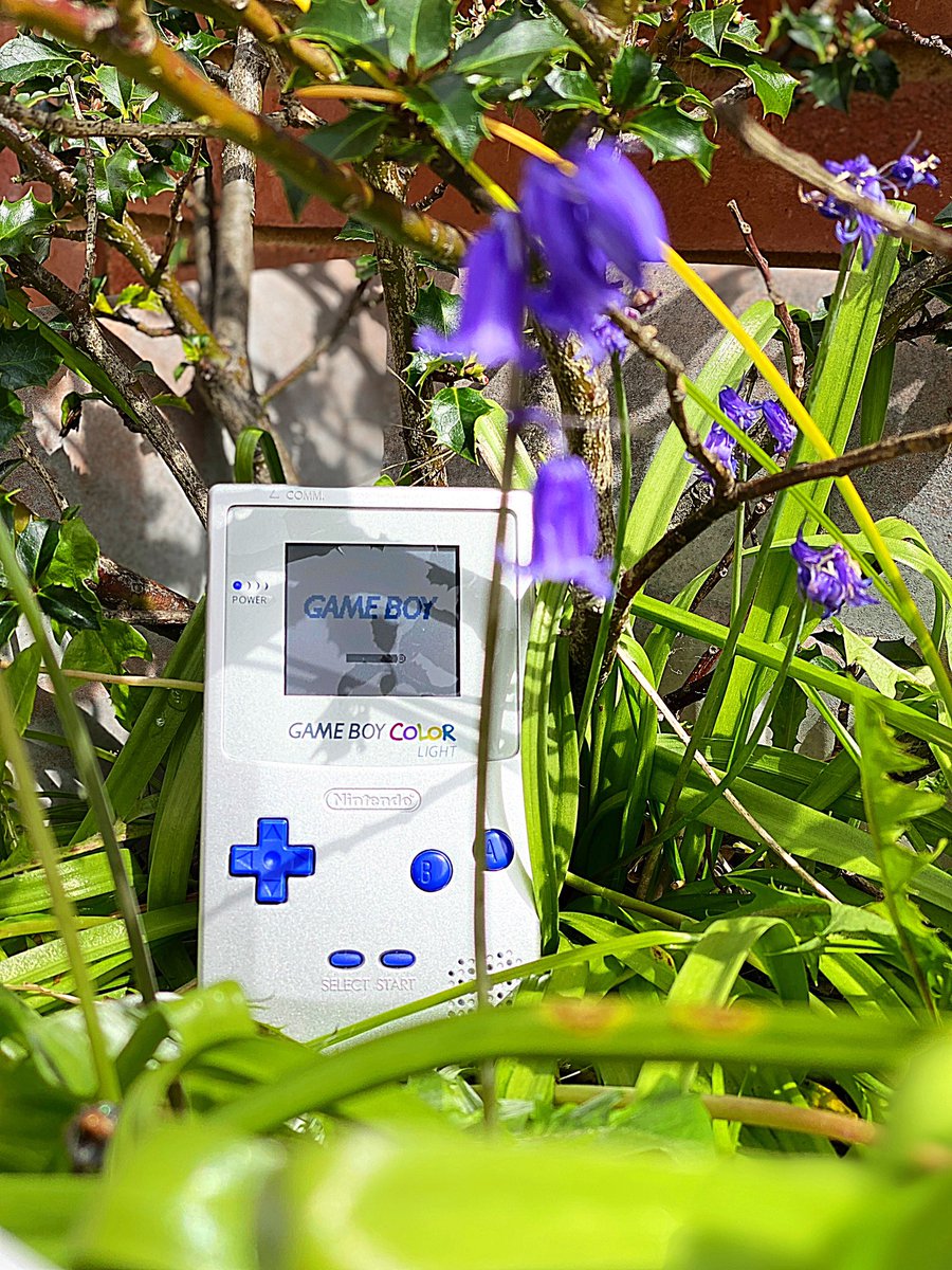 RetroFun_'s tweet photo. The Sun is shining so decide to take a #GameBoysInTheWild 📸 #GameBoy #RetroGaming https://t.co/J579Jvr3Z6