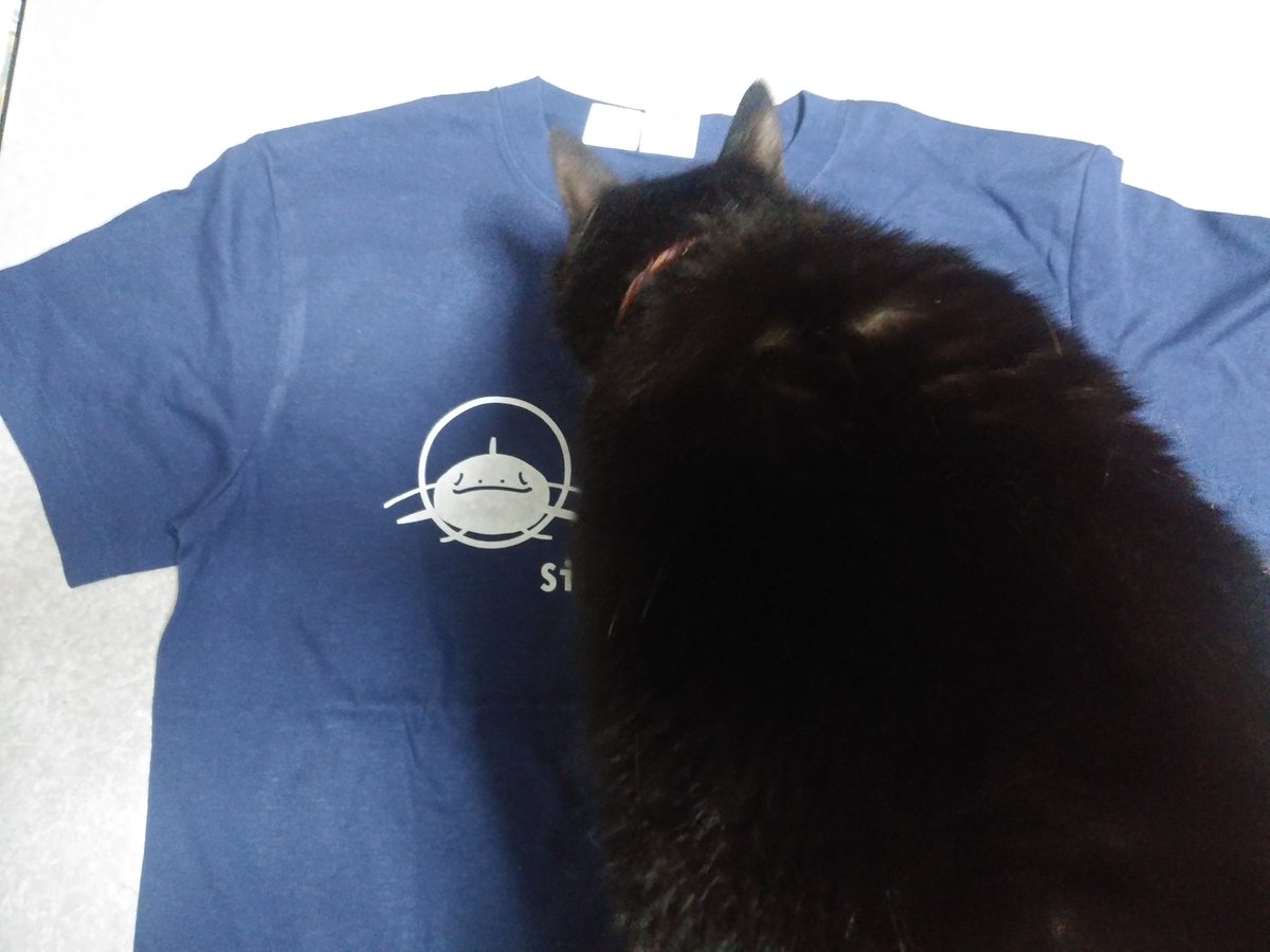 kawamoguri's tweet photo. KlaboさんのナマズTシャツが届いた!
全体の画像を撮りたいんだが、ネコが降りてくれないw。
#Klabo #SUZURI https://t.co/keP0uN1qLD