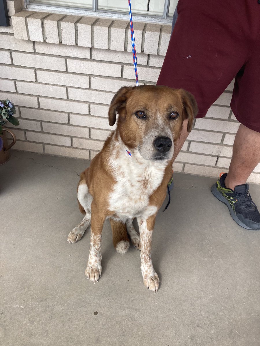 Leslie Nava tweet media