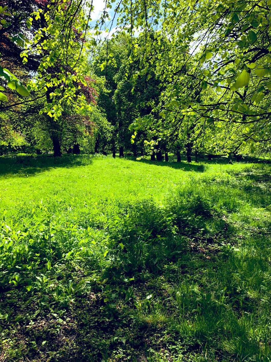 Today’s rehabilitation walk just 200 yards up the road to this!  Beautiful Hickleton Hall and grounds, totally amazing #lovewhereyoulive #justwalk #andbreathe