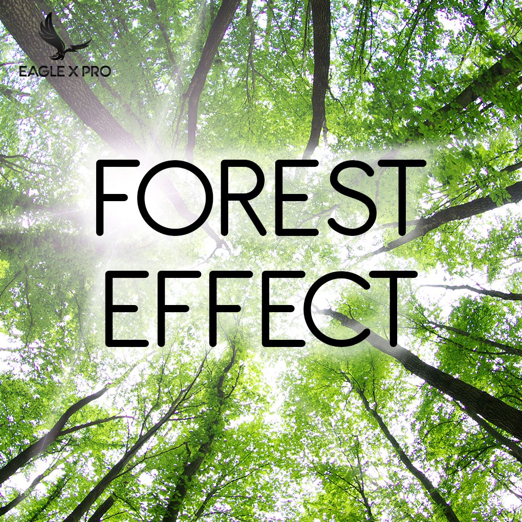 Did you know that the influences of forest upon biotic conditions include its effect on animal life and mankind. Forests significantly influence the life of many animals.

#BreatheBetter #AirQuality #StayHealthy #BipolarIonization #IndoorAirQuality #SaferEnvironment #WeCare