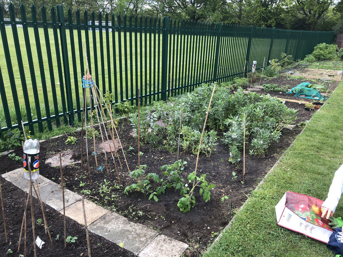 DanRunning's tweet image. Everything is looking much greener